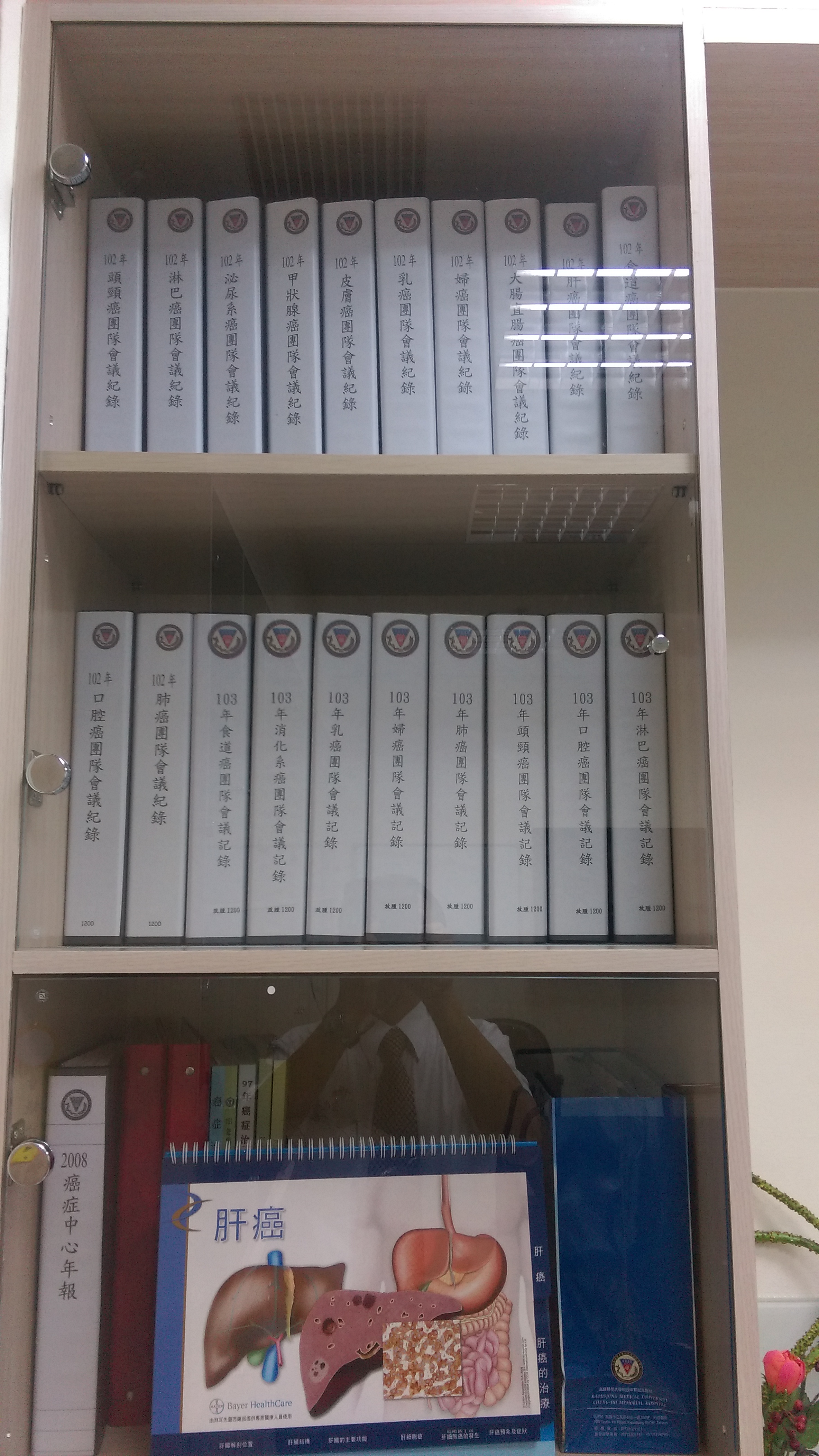 20151028高醫放射腫瘤